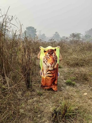 Chitwan Nemzeti Park. Egy tigris... :) -Utazás Indiába és Nepálba.